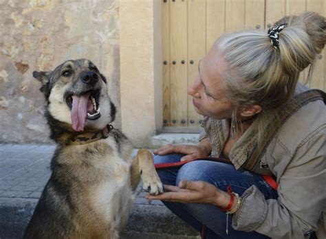 mujer folla con perro|Mujer Se Graba Teniendo Relaciones Con Su Perro